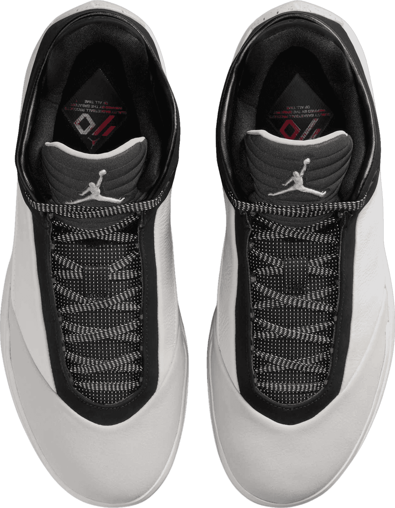 Air Jordan 40 The Classic