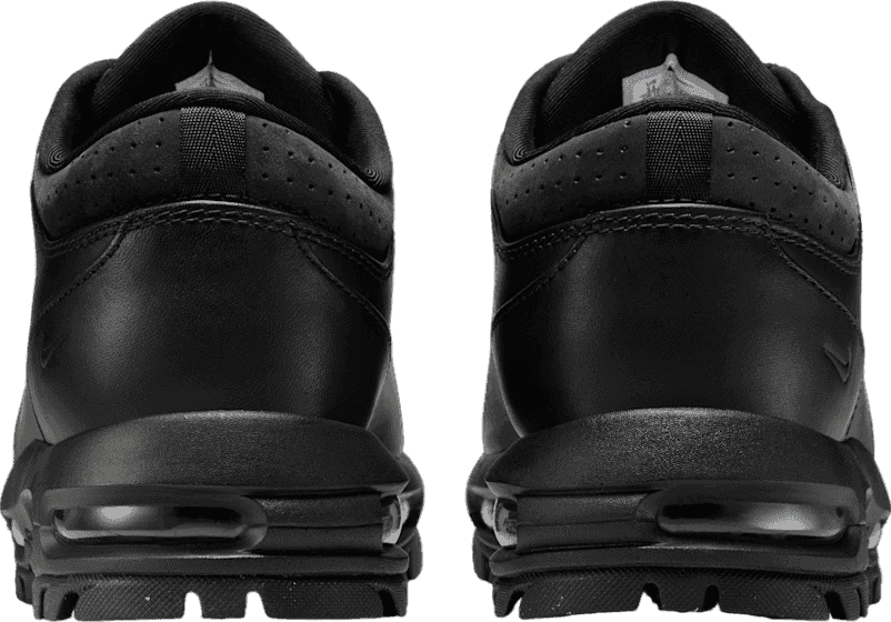 Nike Air Max Goadome Low Black