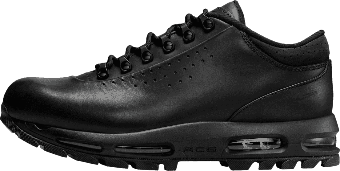 Nike Air Max Goadome Low Black