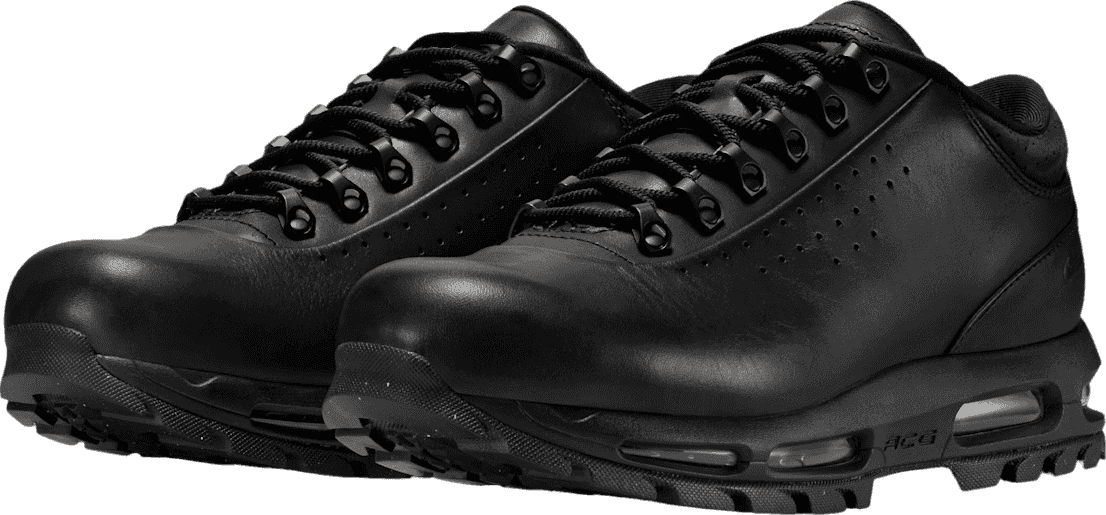 Nike Air Max Goadome Low Black