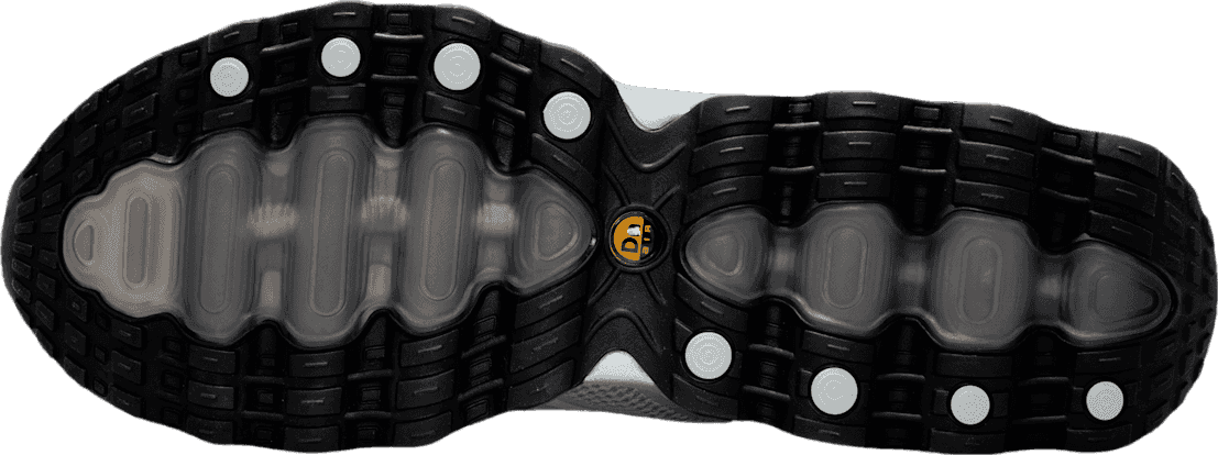 Nike Air Max Dn8 Metallic Silver/Black